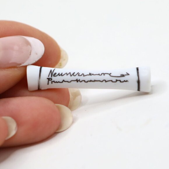 Bratz Pampered Pups Scroll Birth Certificate Accessories  2001 Chloe Dog Doll - Picture 2 of 3